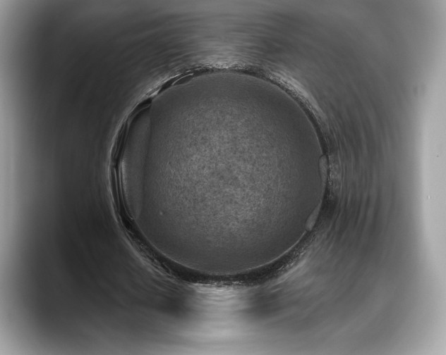 X0000088730626200705311429