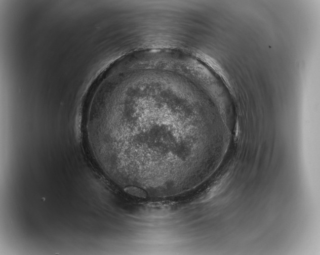 X0000088730627200705311429