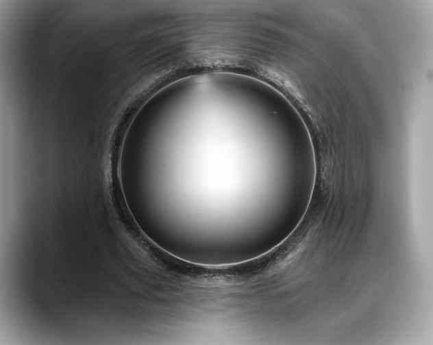 X0000088730629200705311429