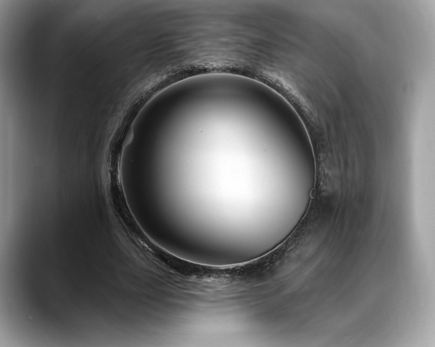 X0000088730631200705311429