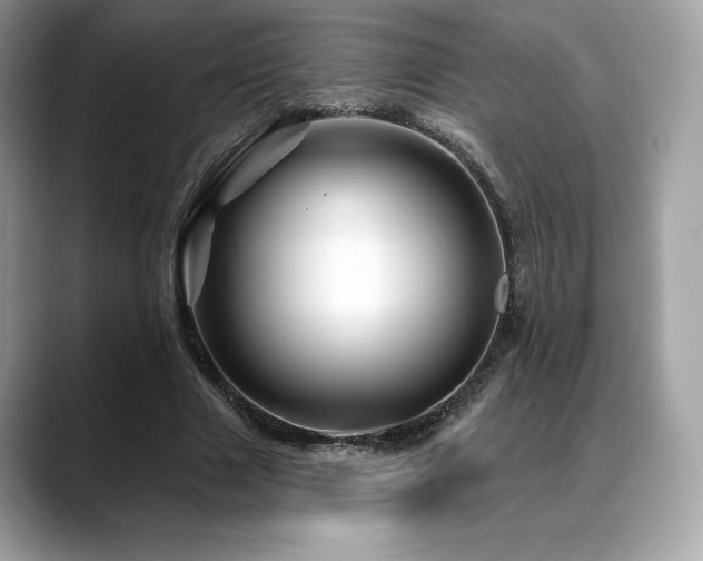 X0000088730633200705311429