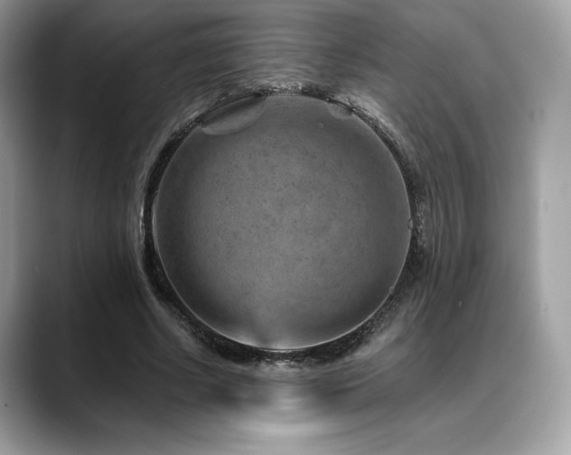 X0000088730634200705311429