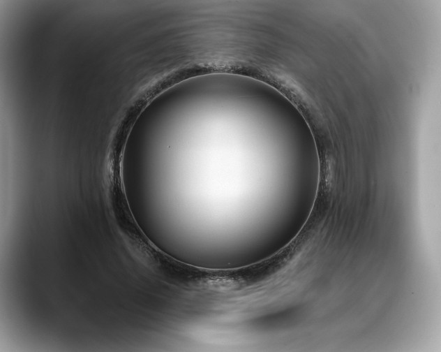 X0000088730636200705311429