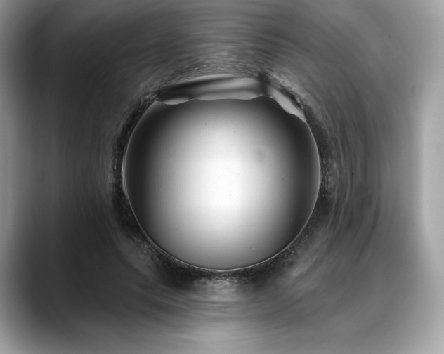 X0000088730639200705311429