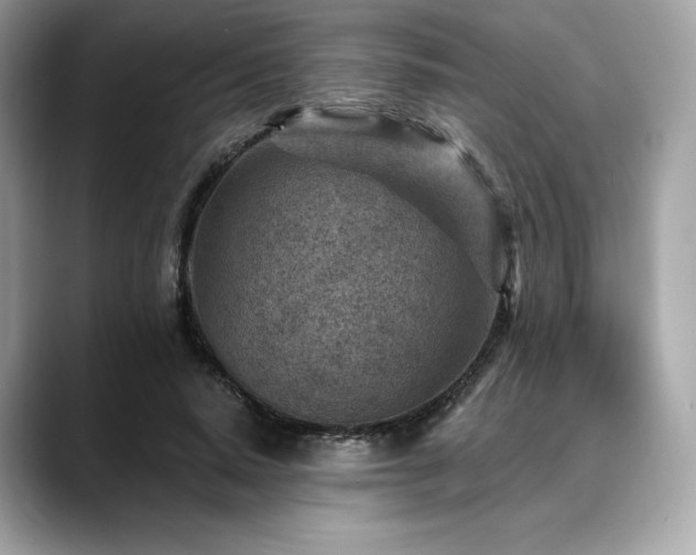 X0000088730640200705311429