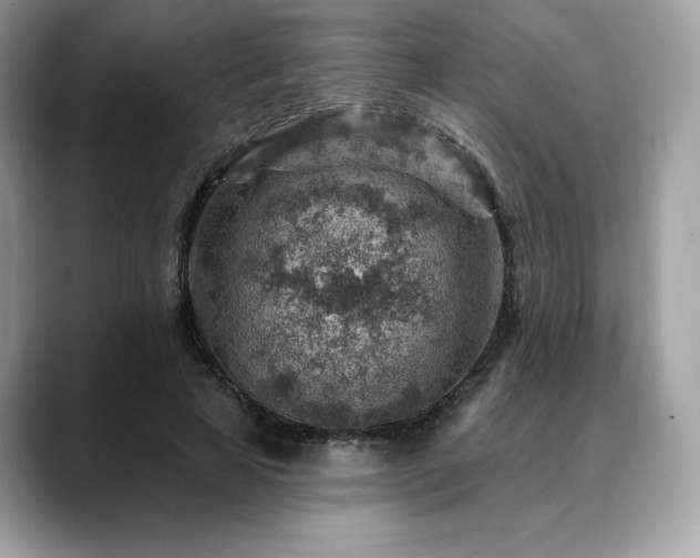 X0000088730641200705311429