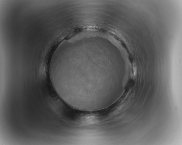 X0000088730643200705311429
