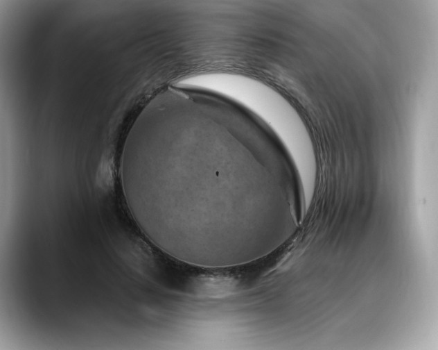 X0000088730644200705311429