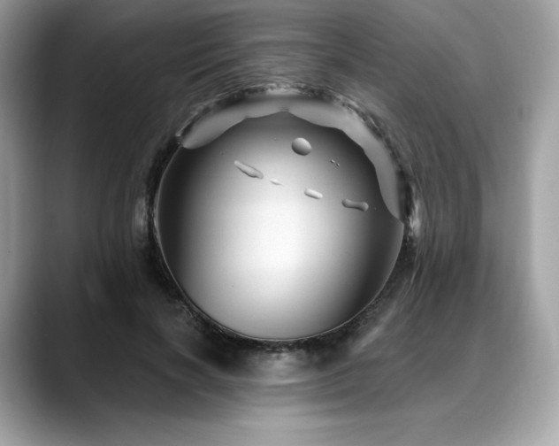 X0000088730646200705311429