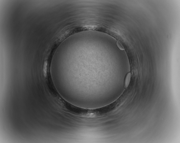X0000088730647200705311430