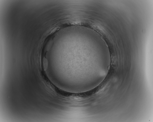 X0000088730648200705311430