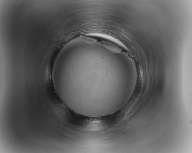 X0000088730651200705311430