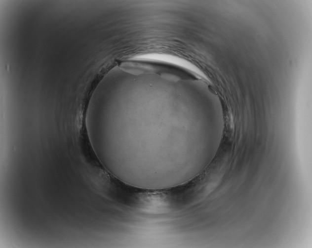 X0000088730652200705311430