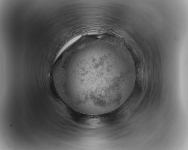 X0000088730653200705311430