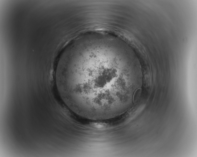 X0000088730654200705311430