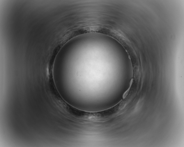 X0000088730655200705311430