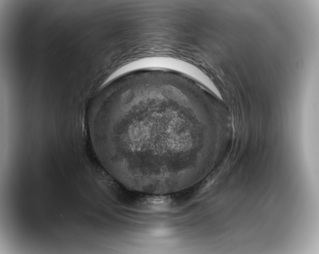 X0000088730659200705311430