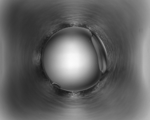 X0000088730660200705311430