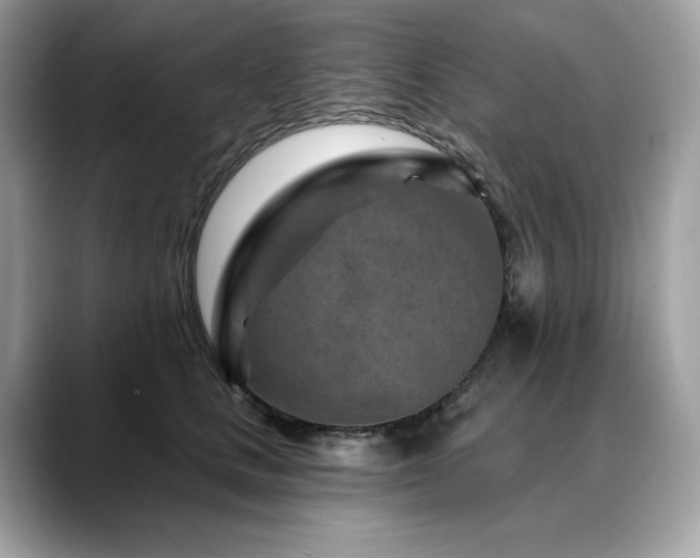 X0000088730661200705311430