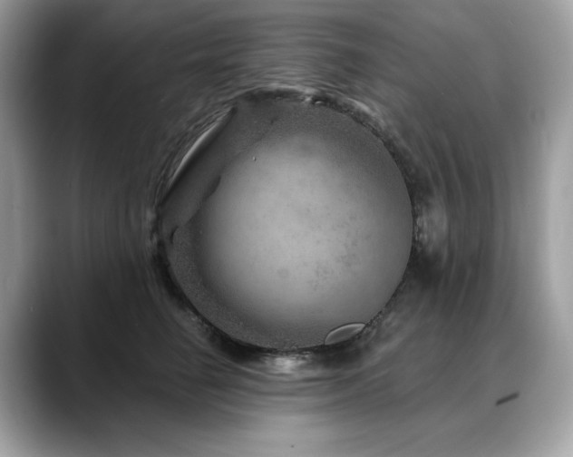 X0000088730662200705311430