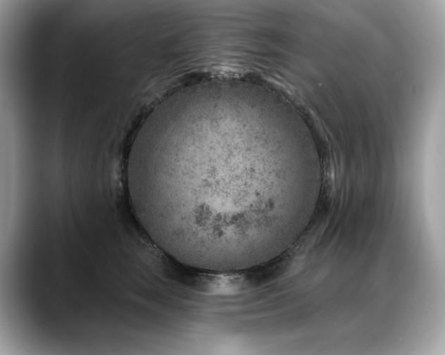 X0000088730663200705311430
