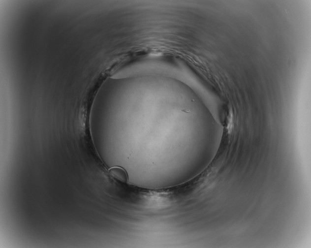 X0000088730664200705311430