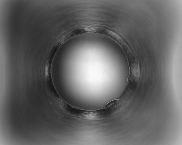 X0000088730667200705311430