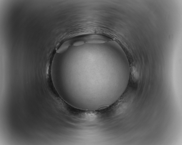 X0000088730668200705311430
