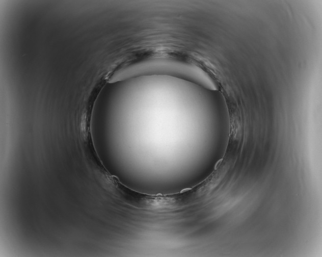X0000088730670200705311430