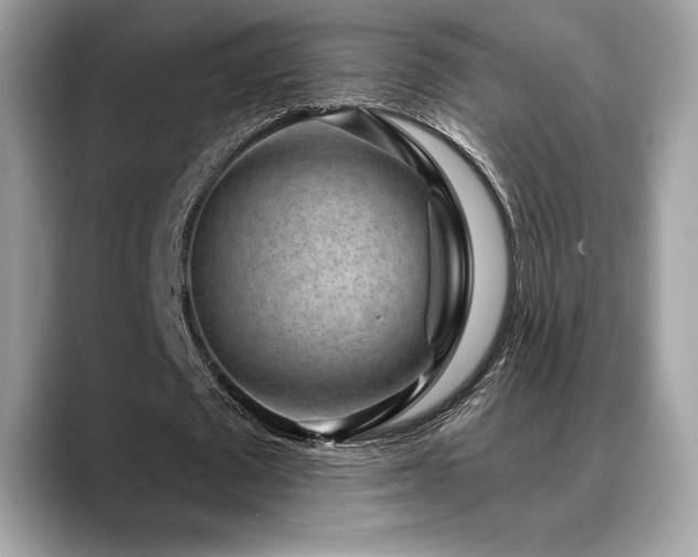 X0000088730673200705311429