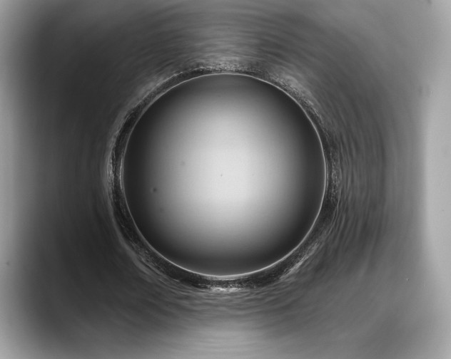X0000088730674200705311429