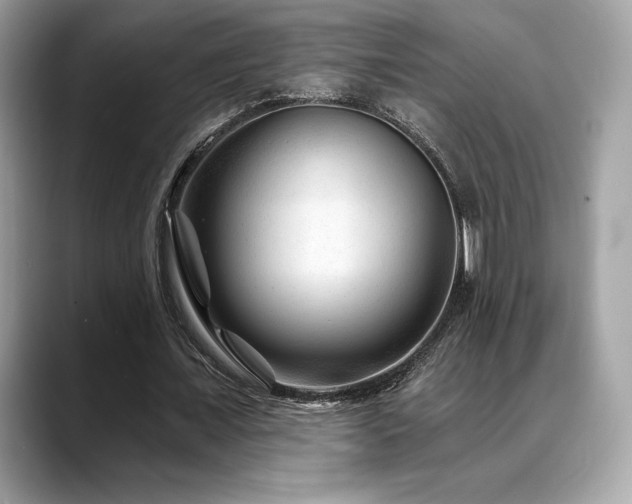 X0000088730675200705311429