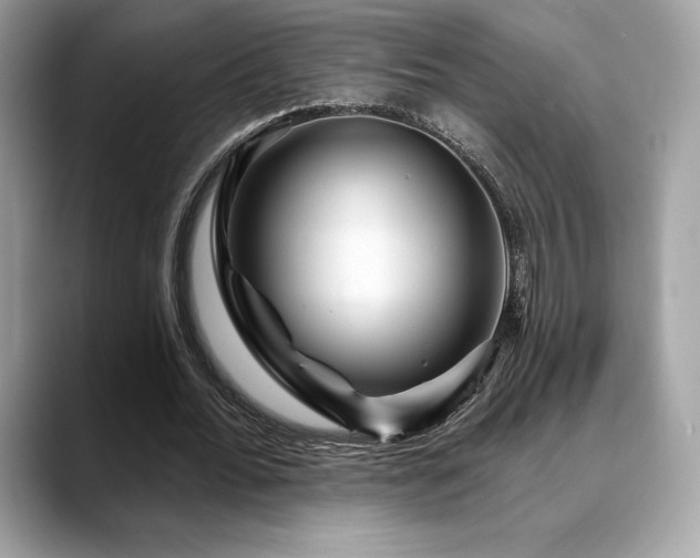 X0000088730676200705311429