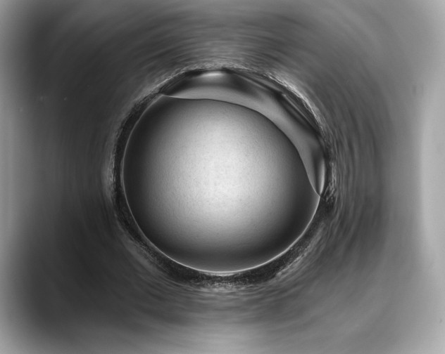 X0000088730677200705311429