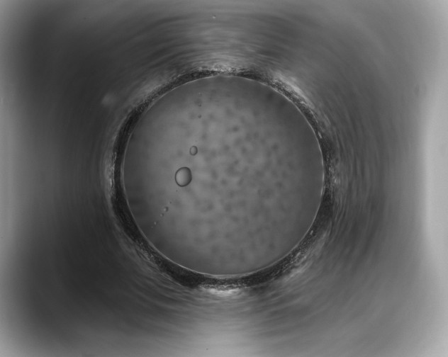X0000088730679200705311429