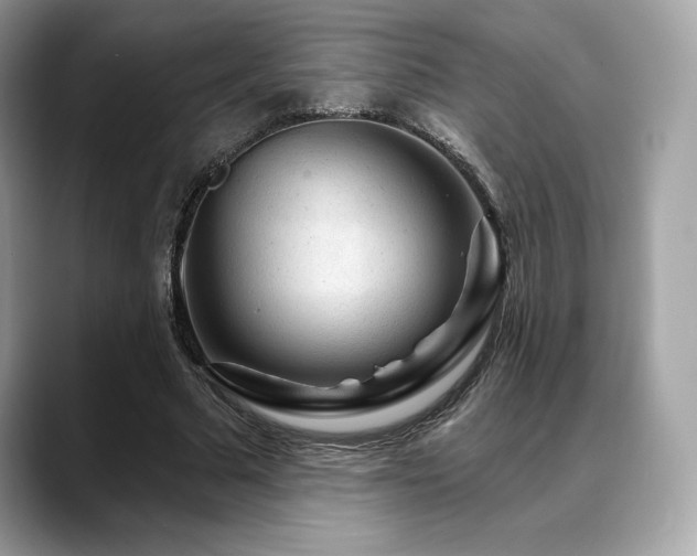 X0000088730681200705311429