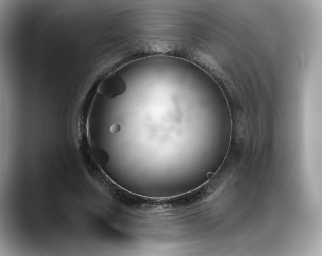 X0000088730683200705311429