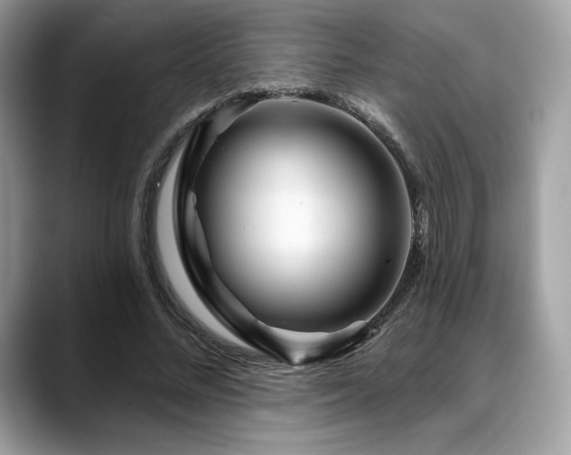 X0000088730684200705311429