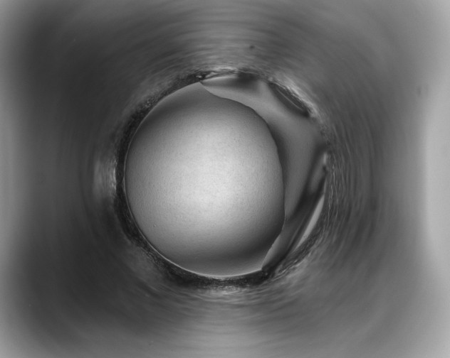X0000088730685200705311429