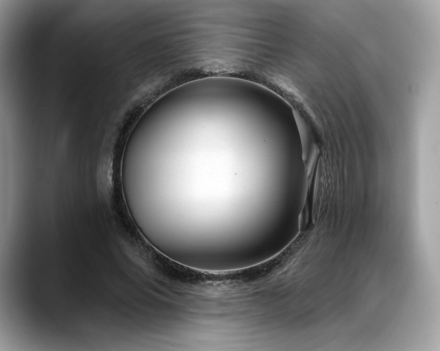 X0000088730686200705311429