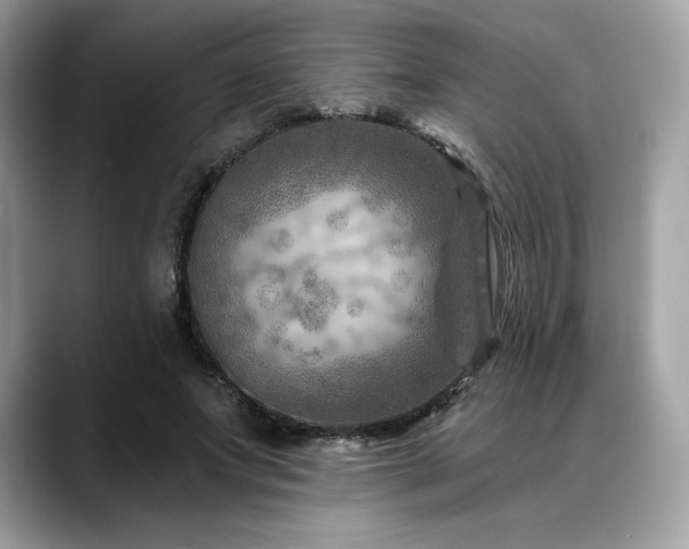 X0000088730687200705311429