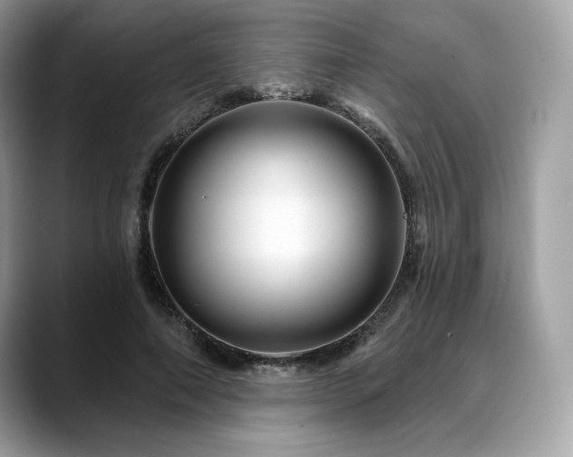 X0000088730690200705311429