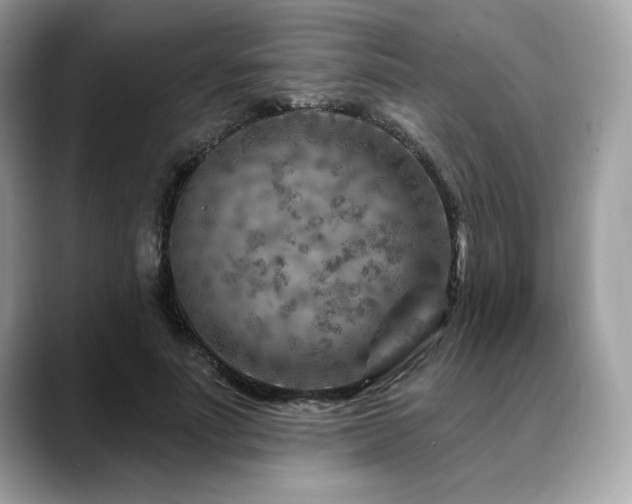 X0000088730691200705311429