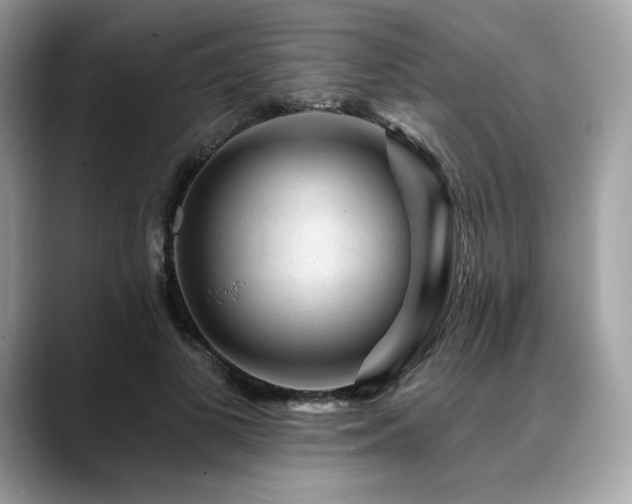X0000088730693200705311429