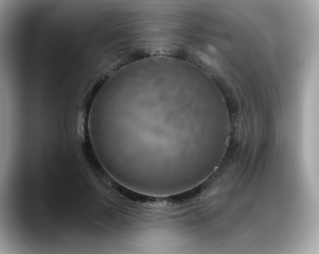 X0000088730695200705311429