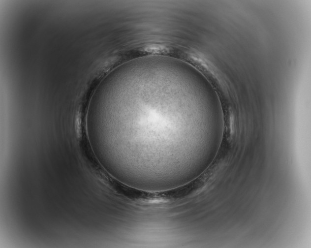 X0000088730696200705311429