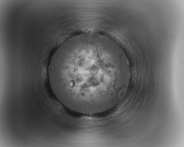 X0000088730699200705311429