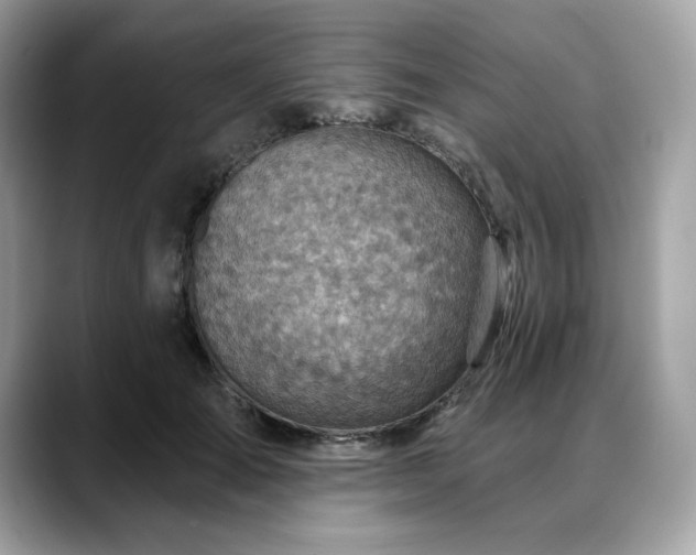 X0000088730701200705311429