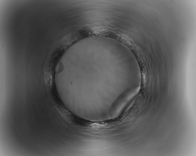 X0000088730703200705311429