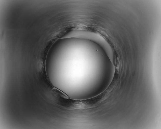 X0000088730704200705311429